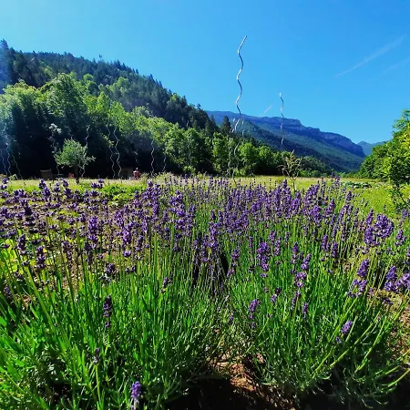 La Bergerie à Menée Casa de hóspedes 3*